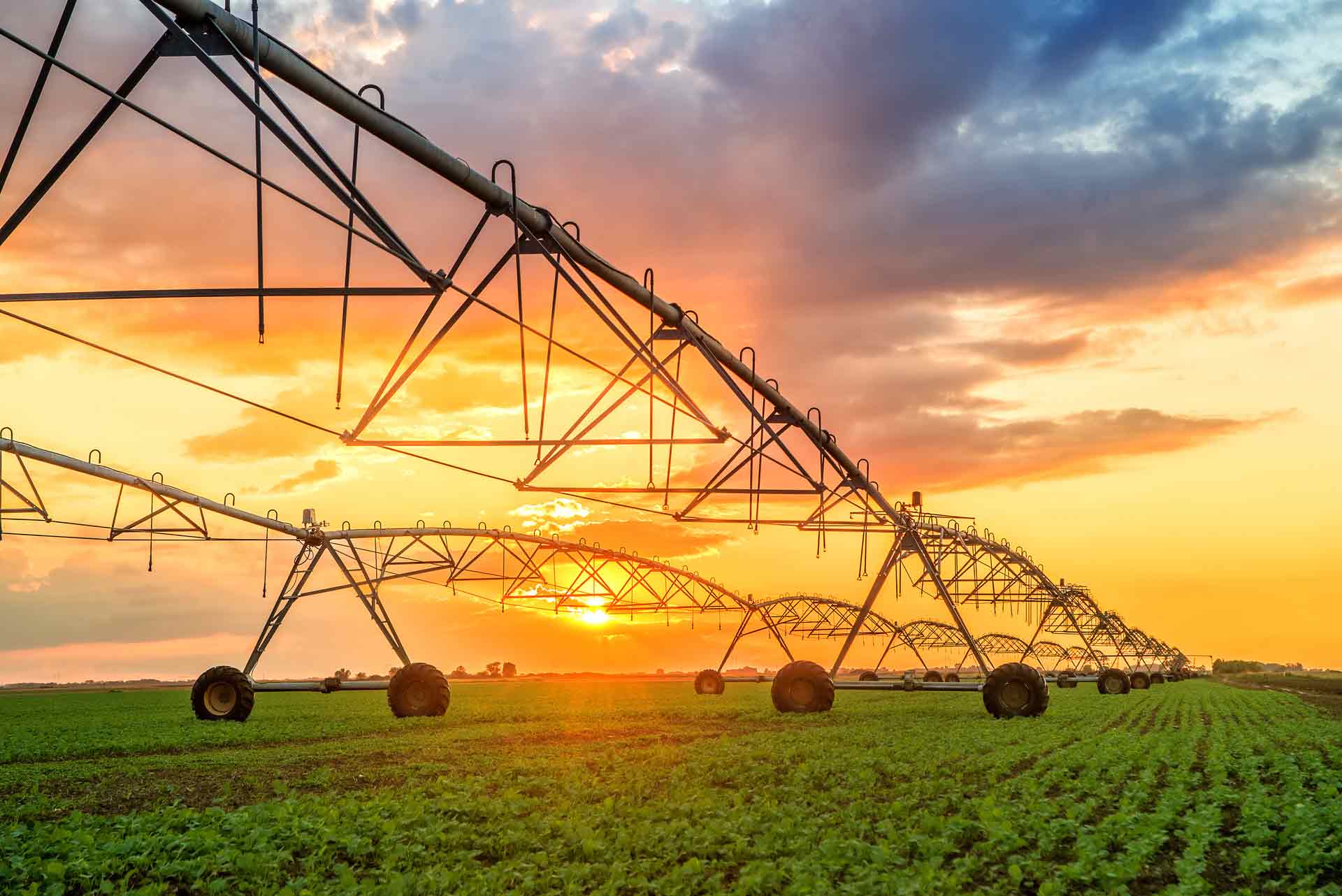 Automated-farming-irrigation-sprinklers-Agriculture