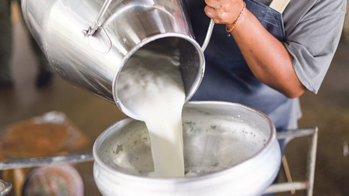 TÜSEDAD, çiğ süt üretiminde iki farklı maliyet hesabı yaptı