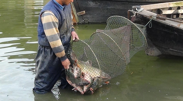 Manyas Gölü'nde balık avı yasağı başladı