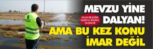 balıkesir-büyükşehir-belediyesi-dalyan-sulak-alanı-bölgesinde-haşereyle-mücadele-çalışmaları-yapıyor