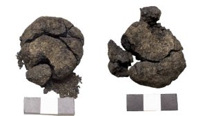 Çatalhöyük’te tarihi keşif! 8 bin 600 yıllık 'ekmek' bulundu!