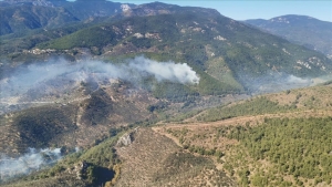 Edremit'te Kazdağları eteklerinde orman yangını çıktı!