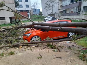 Balıkesir'de devrilen ağaç park halindeki otomobile zarar verdi