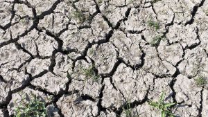 İklim uzmanından Türkiye uyarısı: Sıcaklık artacak, yağış ve su mevcudiyeti azalacak