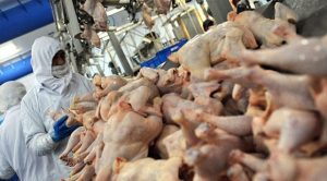 Beyaz et sektöründeki 4 firmaya 1,2 milyar lira ceza kesildi