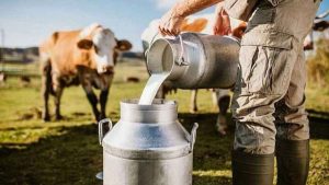Süt üretiminde korkutan düşüş! Son 6 yılın en düşük seviyesinde!